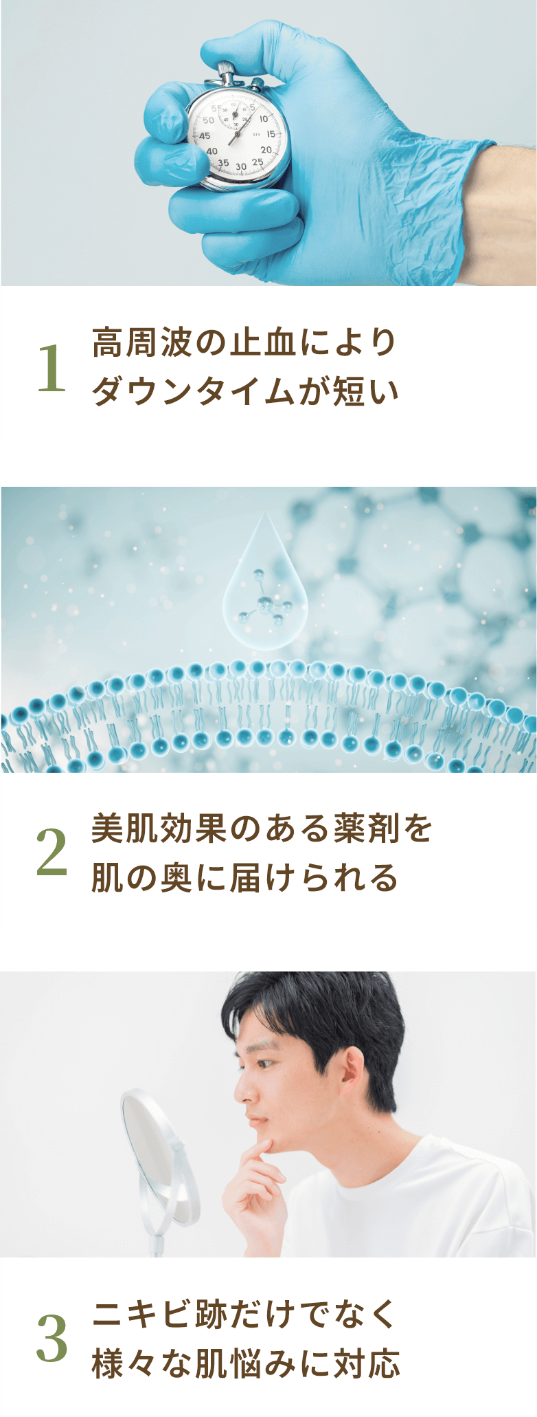ポテンツァの特徴