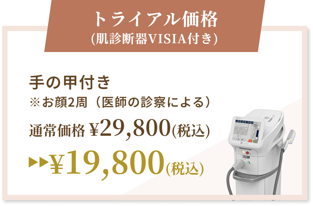 トライアル価格
